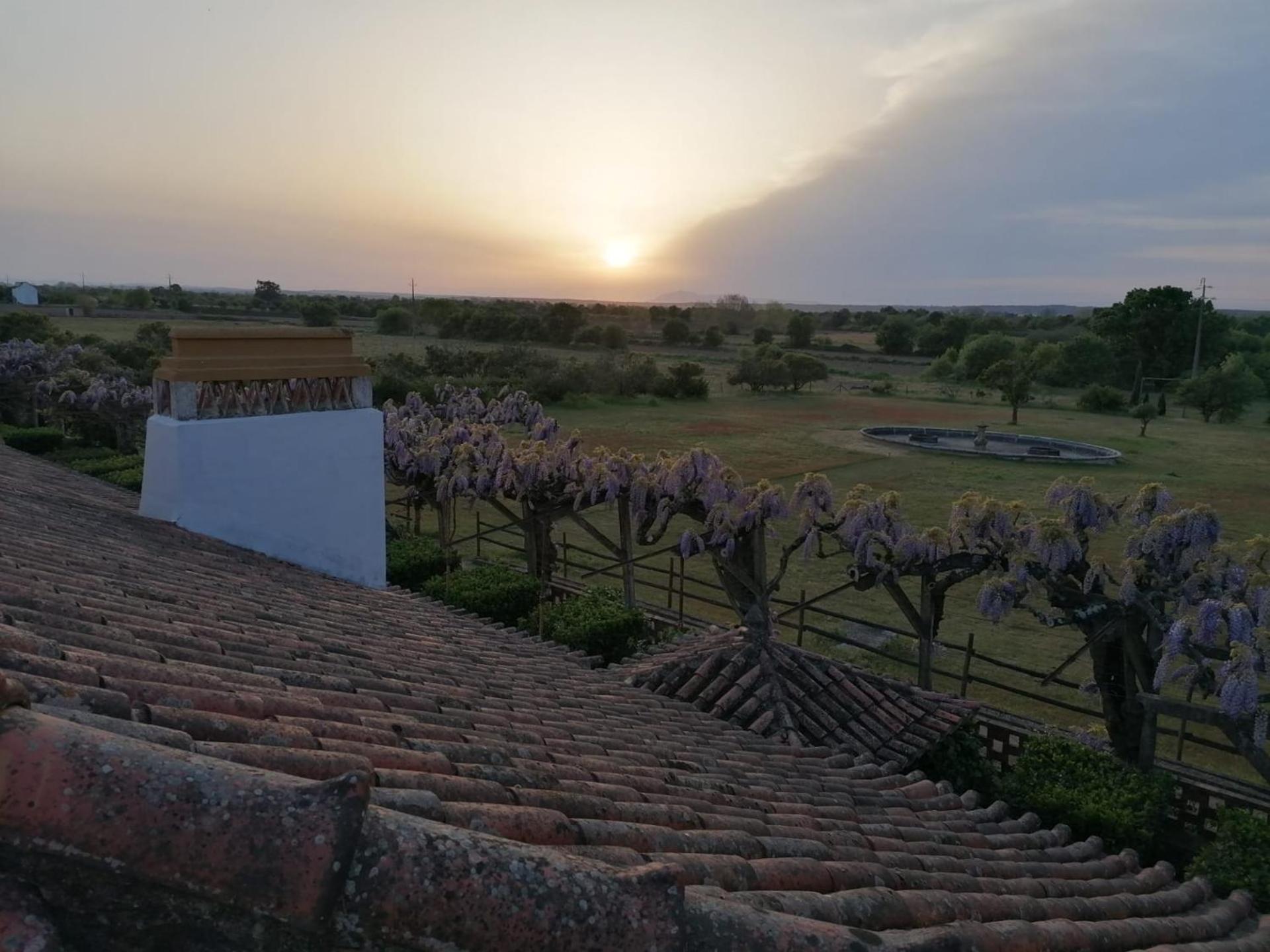 Quinta Do Casalinho - Benfica Do Ribatejo Villa Bagian luar foto