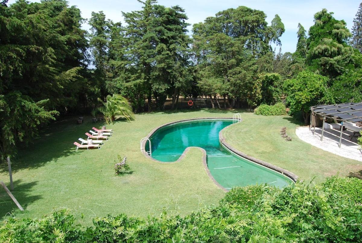 Quinta Do Casalinho - Benfica Do Ribatejo Villa Bagian luar foto