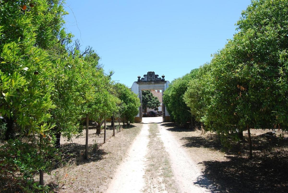 Quinta Do Casalinho - Benfica Do Ribatejo Villa Bagian luar foto