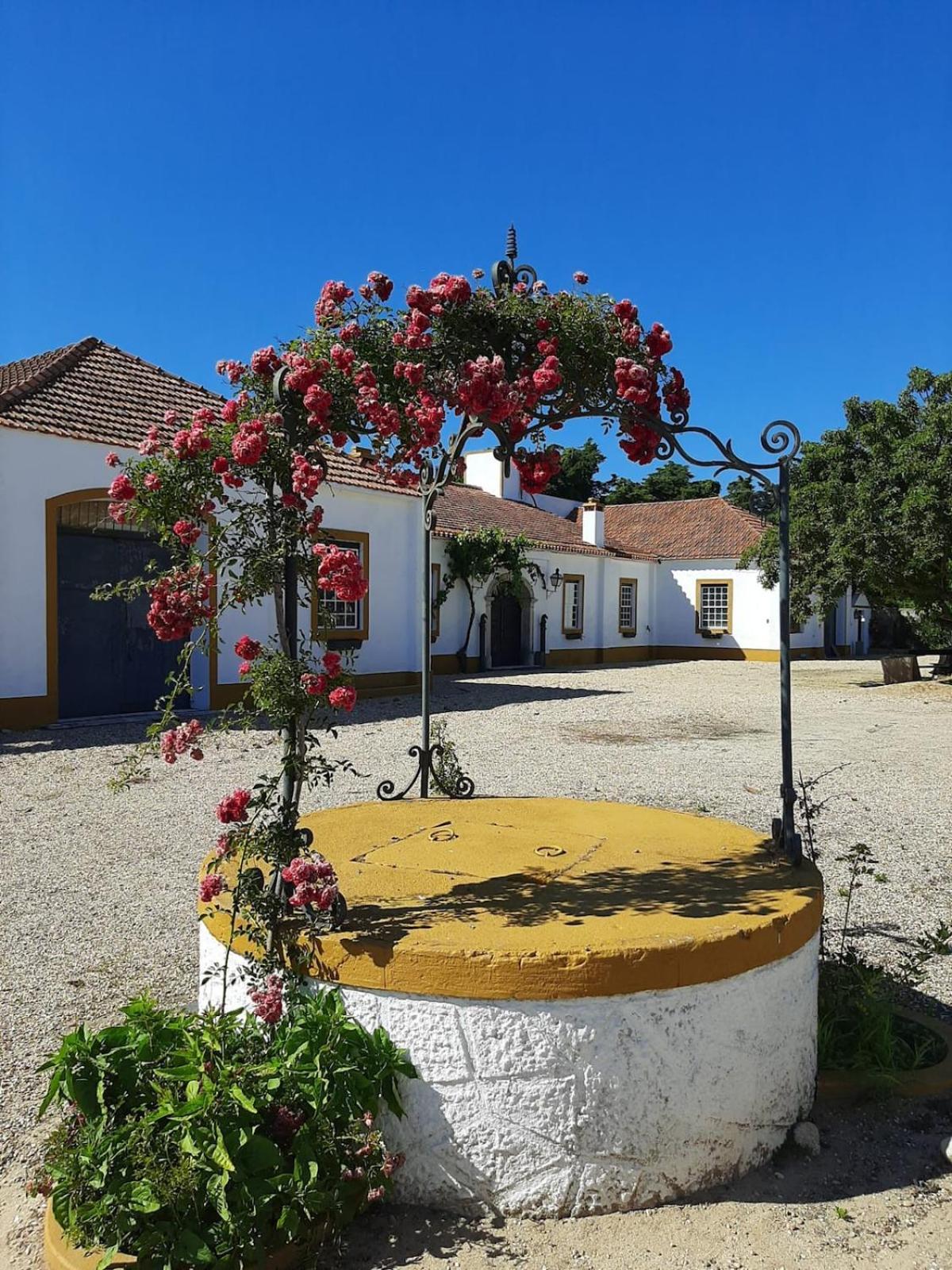 Quinta Do Casalinho - Benfica Do Ribatejo Villa Bagian luar foto